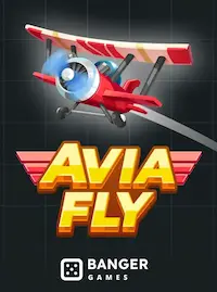 Avia Fly crash at F-111 COM